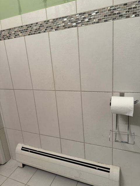 Tiny photo for Chicago, IL 60649 (MLS # 12513621)