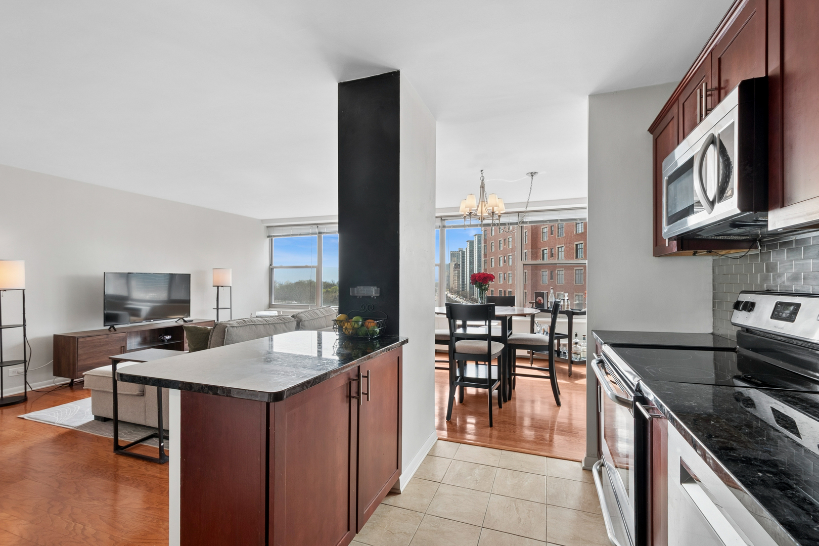 3900 N Lake Shore Drive 9B