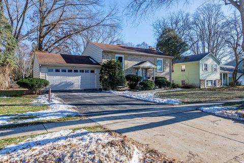 719 Webster Street Algonquin IL 60102