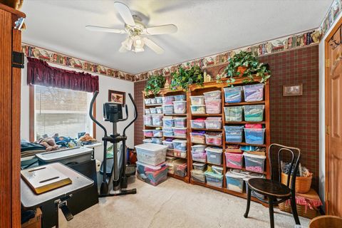 Tiny photo for Foosland, IL 61845 (MLS # 12521440)