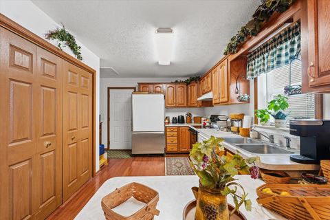 Tiny photo for Foosland, IL 61845 (MLS # 12521440)