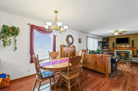 Tiny photo for Foosland, IL 61845 (MLS # 12521440)