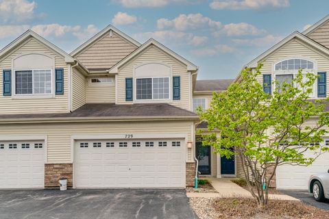 Townhouse in Round Lake IL 729 Jade Lane.jpg