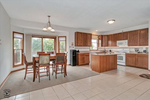 Tiny photo for 4478 Tufted Deer Court, Belvidere, IL 61008 (MLS # 12597572)