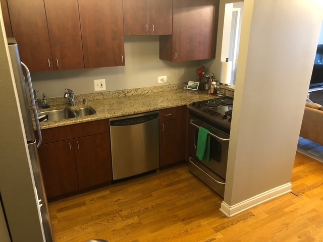 474 N Lake Shore Drive 5109