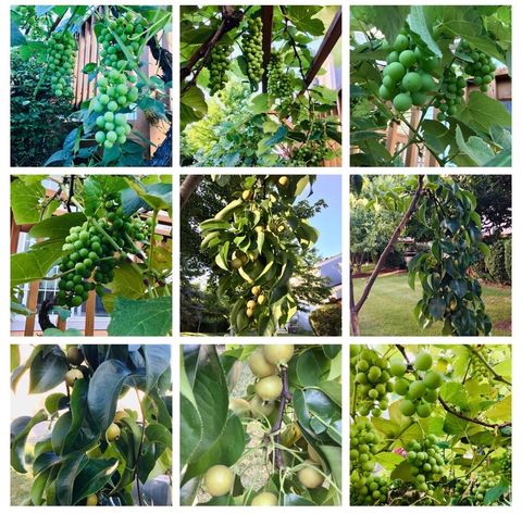 Tiny photo for 5170 Scott Circle, Lisle, IL 60532 (MLS # 12591591)