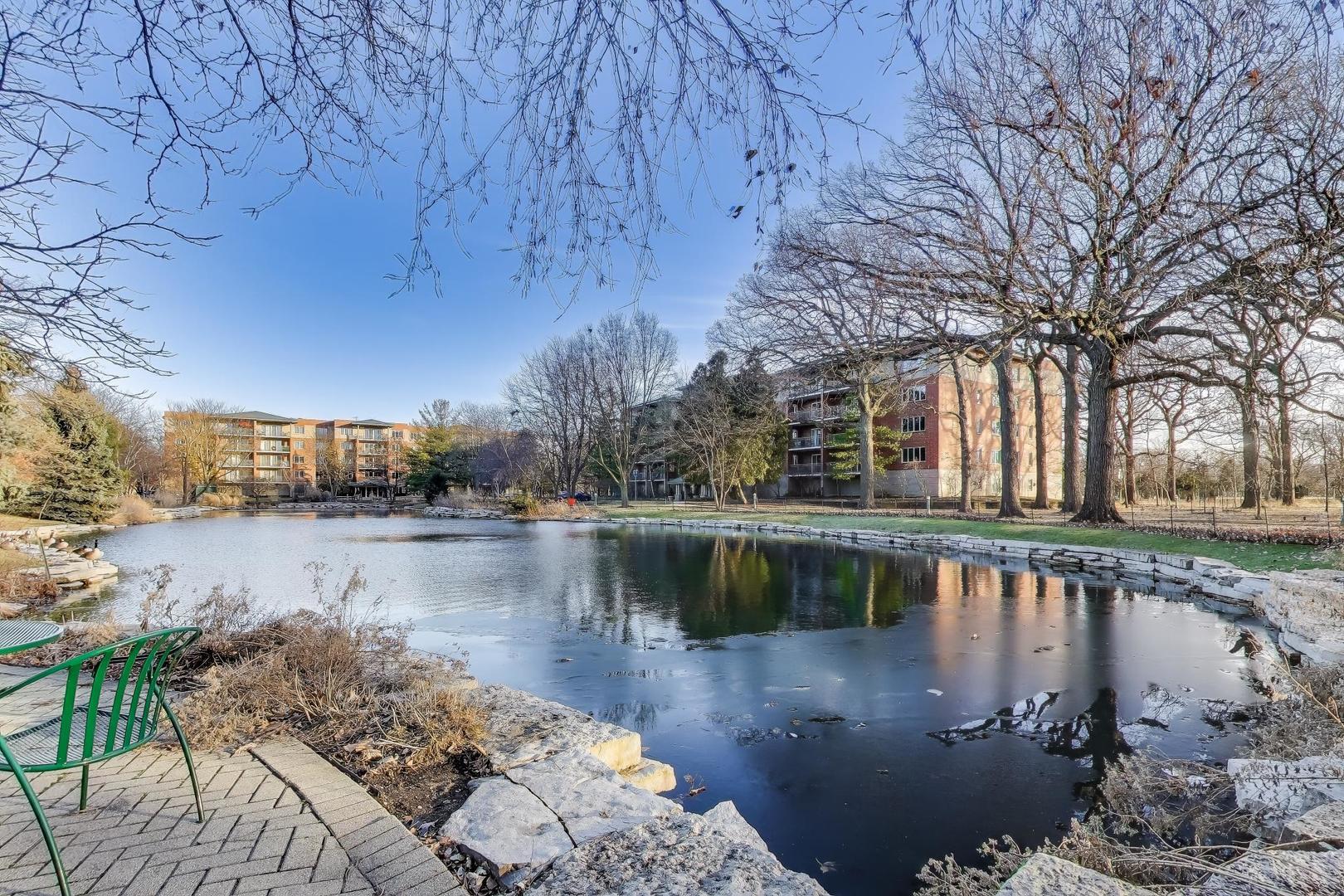 3940 W BRYN MAWR 310