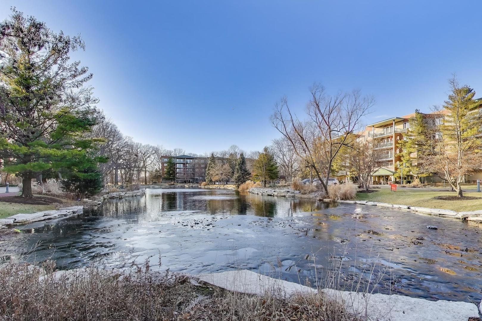 3940 W BRYN MAWR 310