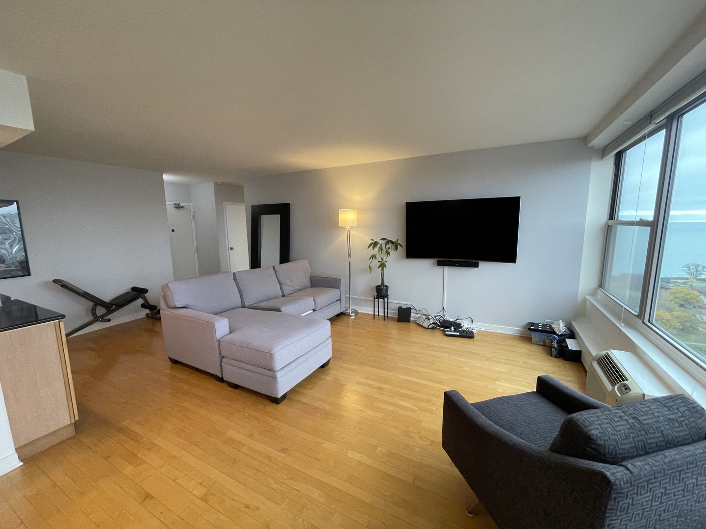 3900 N Lake Shore Drive 25C