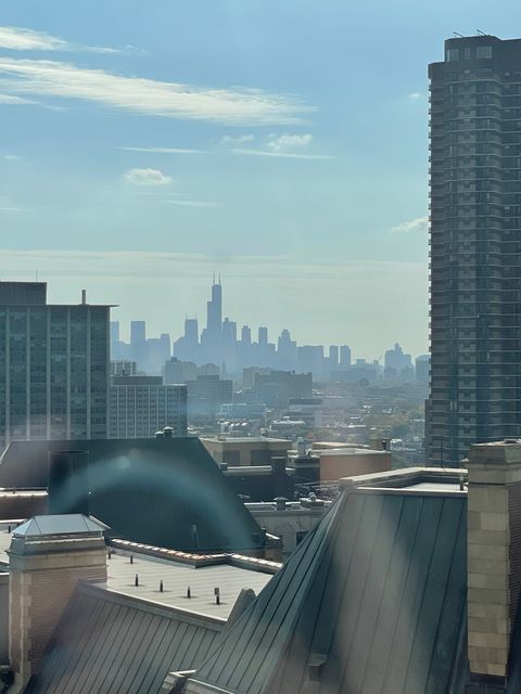 Tiny photo for 3900 N Lake Shore Drive #25C, Chicago, IL 60613 (MLS # 12524117)