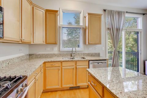 Tiny photo for 125 N Rose Street #E, Palatine, IL 60067 (MLS # 12513927)