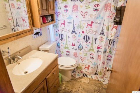 Tiny photo for 709 Hamilton Ave, Quincy, IL 62305 (MLS # 12621255)