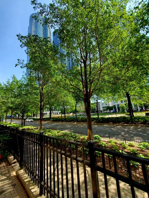 Tiny photo for 1250 S Indiana Avenue #107, Chicago, IL 60605 (MLS # 12677488)