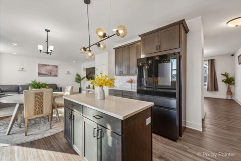 Tiny photo for Elgin, IL 60124 (MLS # 12634759)