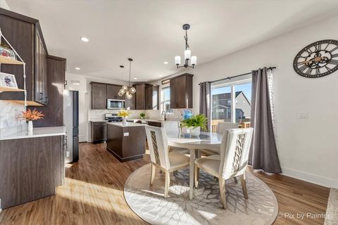 Tiny photo for Elgin, IL 60124 (MLS # 12634759)