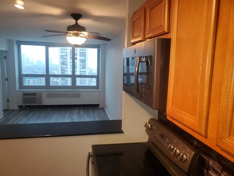 Tiny photo for Chicago, IL 60610 (MLS # 12559591)