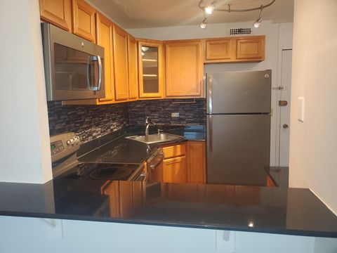 Tiny photo for Chicago, IL 60610 (MLS # 12559591)