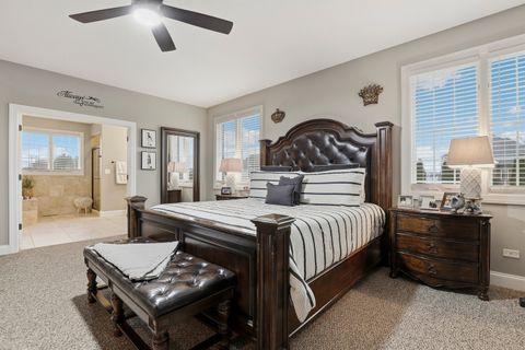 Tiny photo for 8844 Port Washington Drive, Frankfort, IL 60423 (MLS # 12534178)