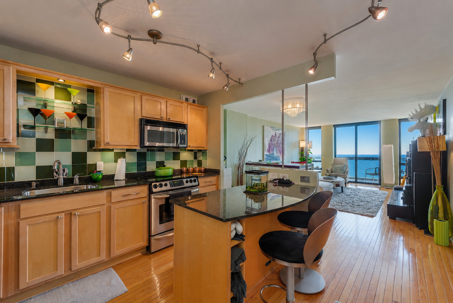 1660 N LaSalle Street 3507