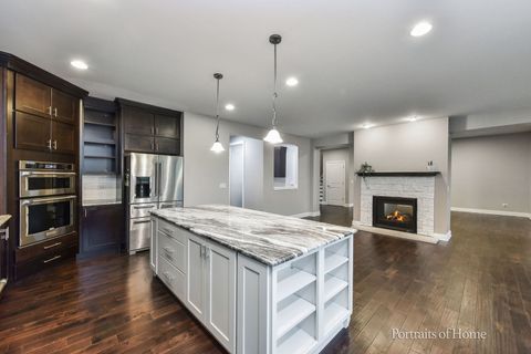 Tiny photo for 3907 Nannyberry Street, Naperville, IL 60564 (MLS # 12518527)