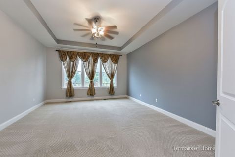 Tiny photo for 3907 Nannyberry Street, Naperville, IL 60564 (MLS # 12518527)