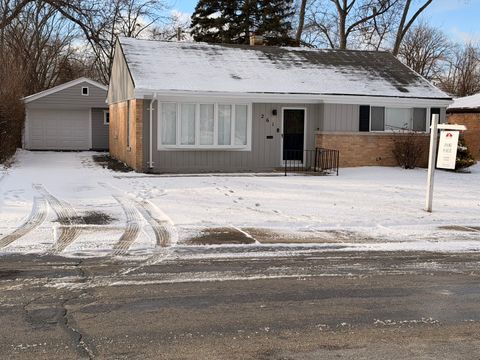 Photo of 261 Minocqua Street, Park Forest, IL 60466 (MLS # 12547813)