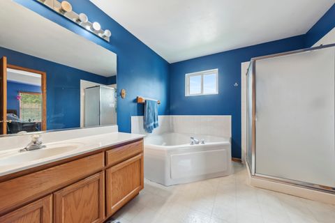 Tiny photo for 24850 Michele Drive, Plainfield, IL 60544 (MLS # 12445965)