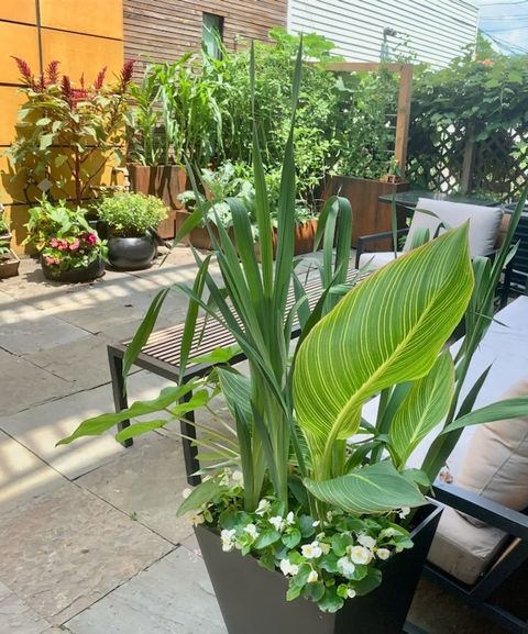 Tiny photo for 2334 W Medill Avenue, Chicago, IL 60647 (MLS # 12597303)