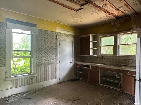 Tiny photo for 103 N 7TH Street, Murphysboro, IL 62966 (MLS # EB454181)