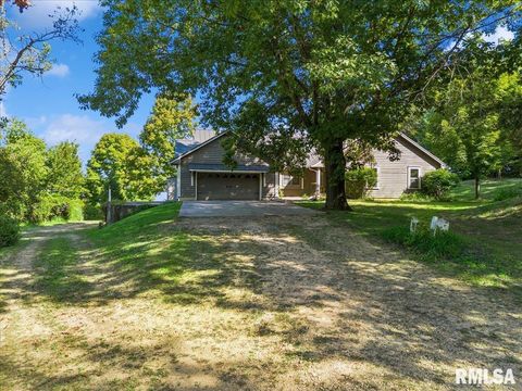 Tiny photo for 1650 468th Avenue, Clinton, IA 52732 (MLS # QC4268102)