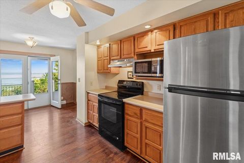 Tiny photo for 1650 468th Avenue, Clinton, IA 52732 (MLS # QC4268102)