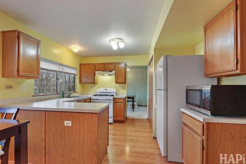 Tiny photo for 974 Annandale Drive, Elgin, IL 60123 (MLS # 12590401)