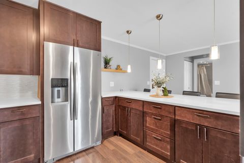 Tiny photo for Schaumburg, IL 60193 (MLS # 12575615)