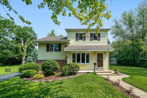264 Beach Street Villa Park IL 60181