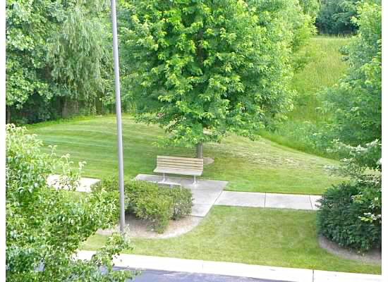 801 N MCLEAN Boulevard 342
