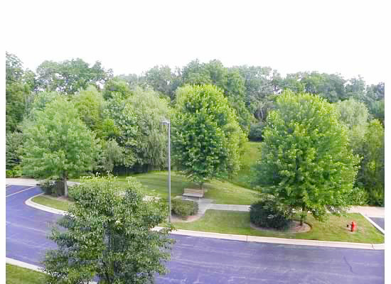 801 N MCLEAN Boulevard 342