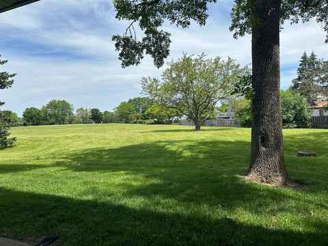 Tiny photo for 845 Miller Lane #101, Buffalo Grove, IL 60089 (MLS # 12666522)