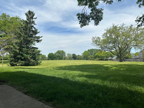 Tiny photo for 845 Miller Lane #101, Buffalo Grove, IL 60089 (MLS # 12666522)