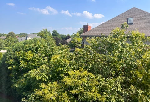 Tiny photo for 21367 Brittany Drive, Frankfort, IL 60423 (MLS # 12699918)