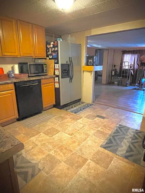 Tiny photo for 225 ARROWHEAD Drive, Goreville, IL 62939 (MLS # QC4262253)