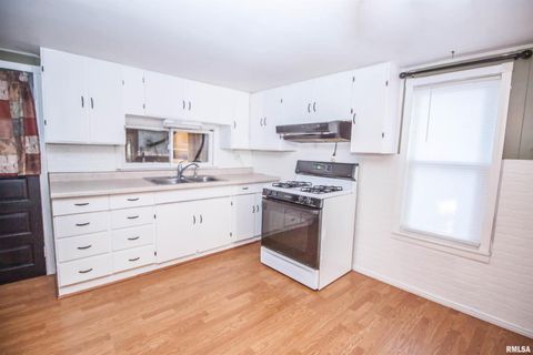 Tiny photo for 1479 KNOXVILLE Road, Lynn Center, IL 61262 (MLS # QC4269134)