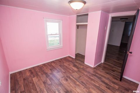 Tiny photo for 1479 KNOXVILLE Road, Lynn Center, IL 61262 (MLS # QC4269134)