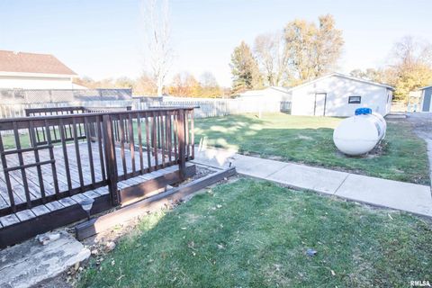 Tiny photo for 1479 KNOXVILLE Road, Lynn Center, IL 61262 (MLS # QC4269134)