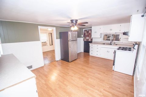 Tiny photo for 1479 KNOXVILLE Road, Lynn Center, IL 61262 (MLS # QC4269134)