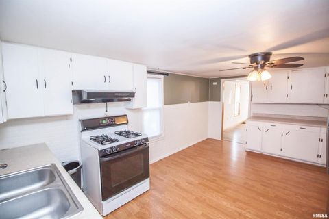 Tiny photo for 1479 KNOXVILLE Road, Lynn Center, IL 61262 (MLS # QC4269134)