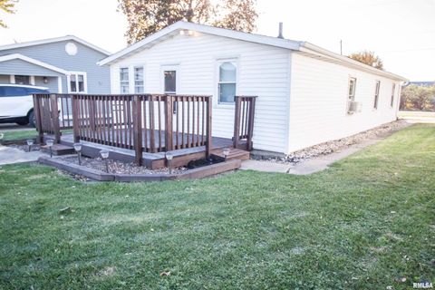 Tiny photo for 1479 KNOXVILLE Road, Lynn Center, IL 61262 (MLS # QC4269134)