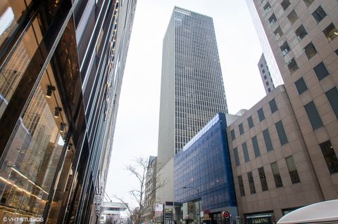 100 E Walton Place 12F Chicago IL 60611
