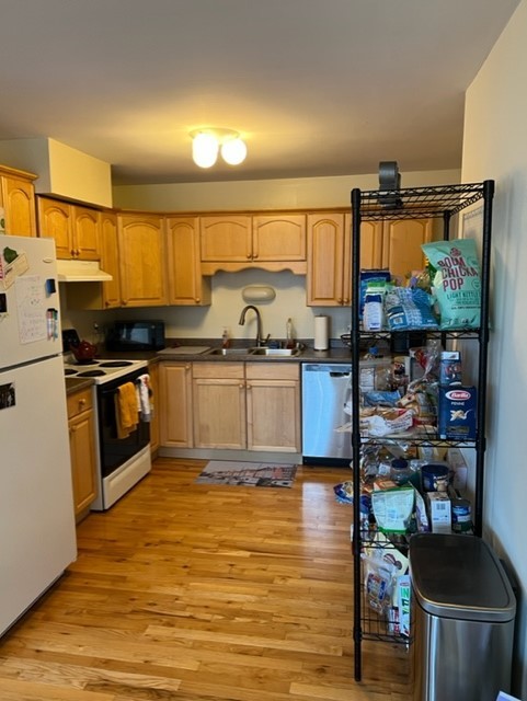 3916 N FREMONT Street 3S