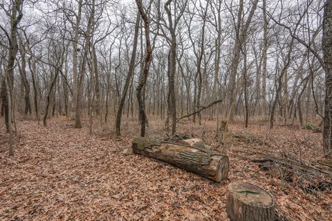 Tiny photo for 2821 Shadow Road, Momence, IL 60954 (MLS # 12574420)