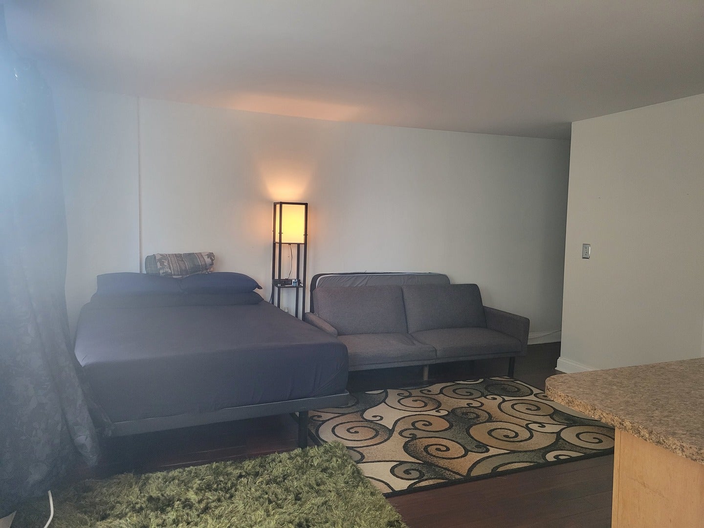 6171 N Sheridan Road 1308